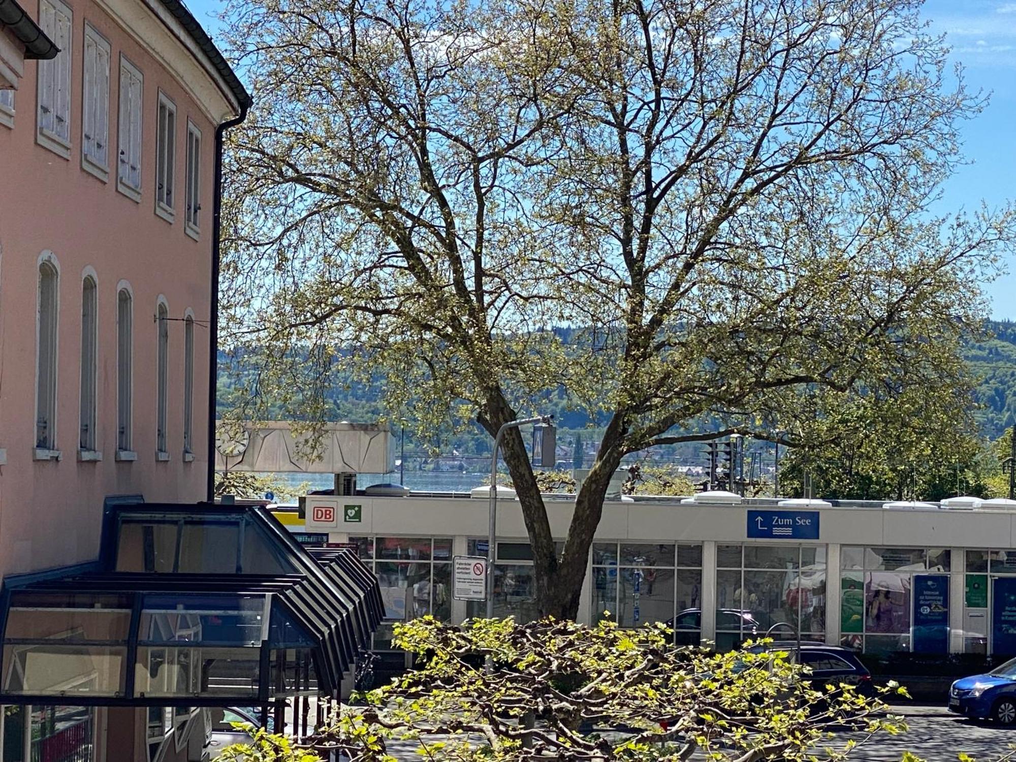 Ferienwohnung Seeromantik In 2 Minuten Am See Radolfzell am Bodensee Extérieur photo