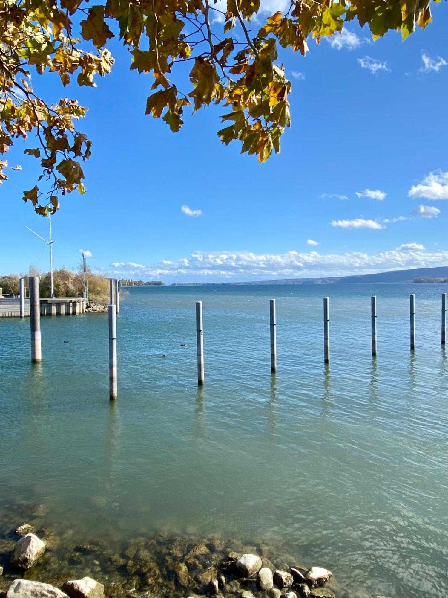 Ferienwohnung Seeromantik In 2 Minuten Am See Radolfzell am Bodensee Extérieur photo